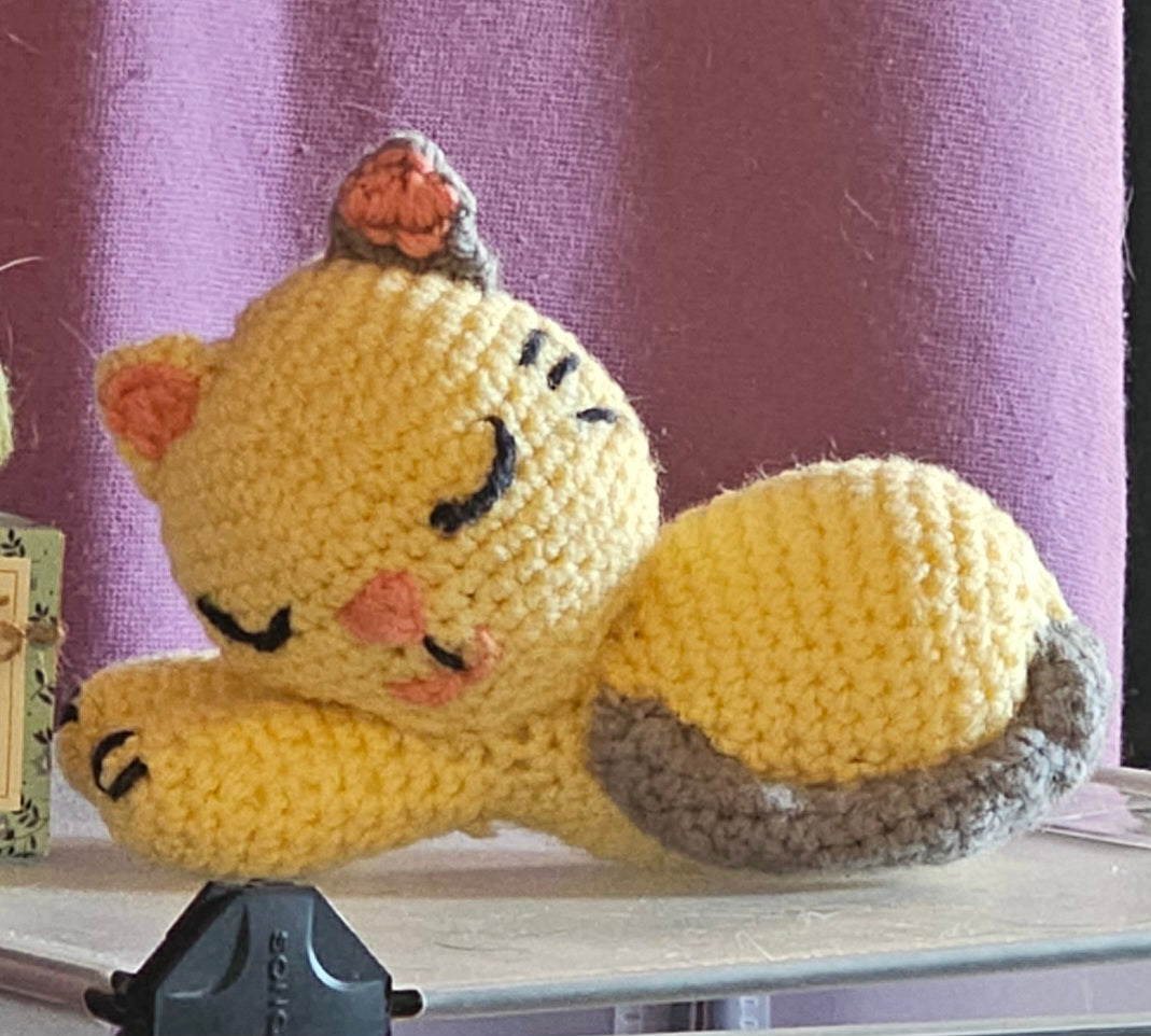 Trixi, die schlafende Katze