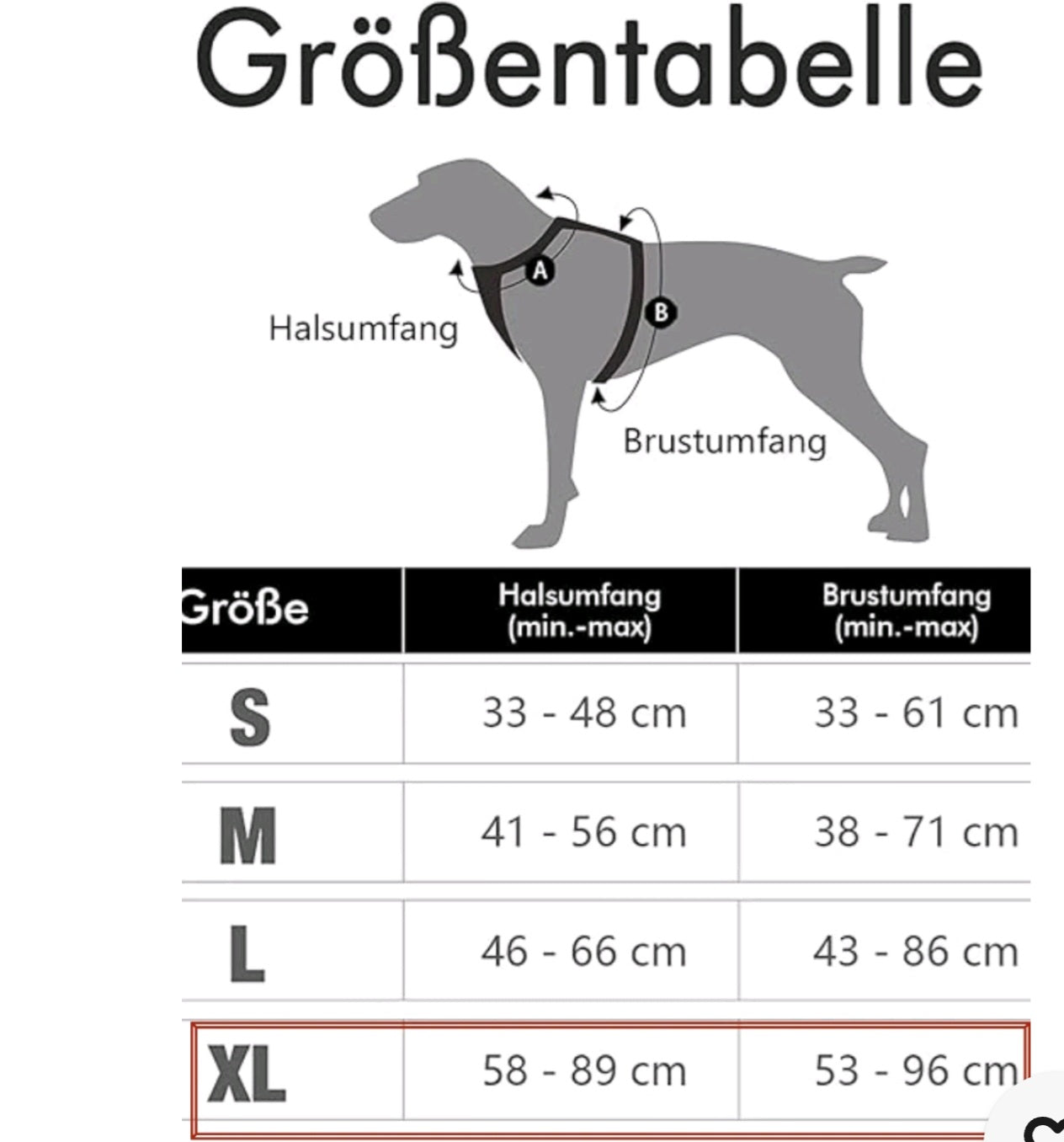 LEDERLEINE und Halsband