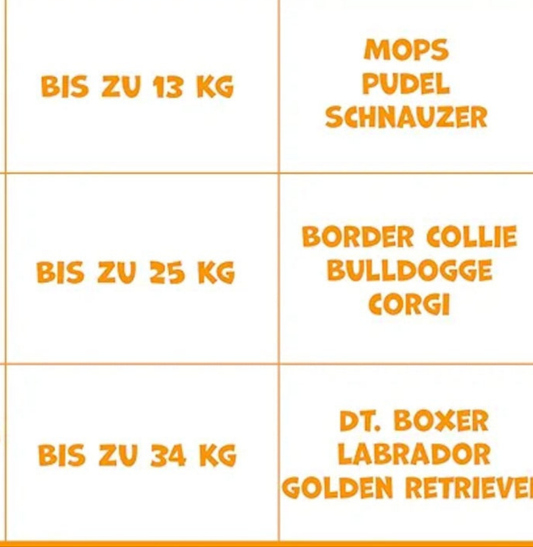 Hundeliegeplatz  Flam