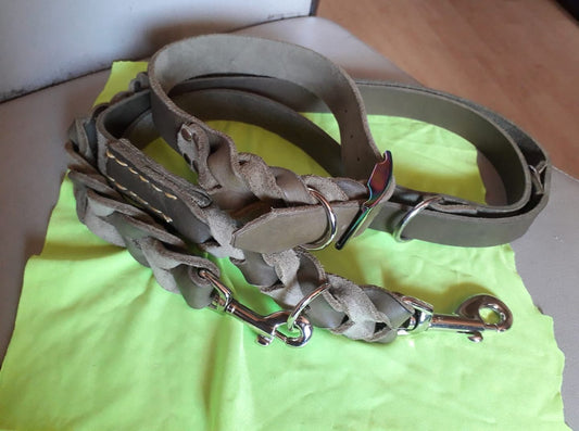 LEDERLEINE und Halsband